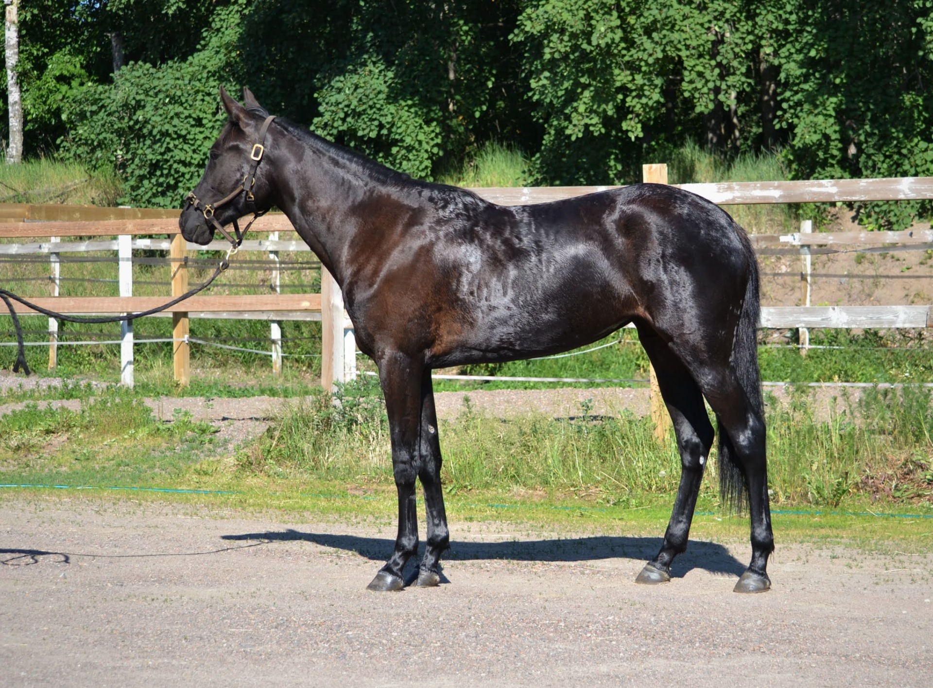 lv-t. Tricky Quick Loan 2018-2023